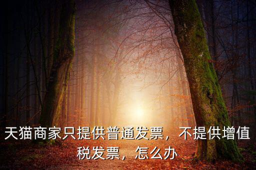 天貓商家只提供普通發(fā)票，不提供增值稅發(fā)票，怎么辦