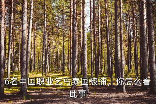 6名中國職業(yè)乞丐泰國被捕，你怎么看此事
