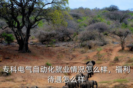 ?？齐姎庾詣踊蜆I(yè)情況怎么樣，福利待遇怎么樣