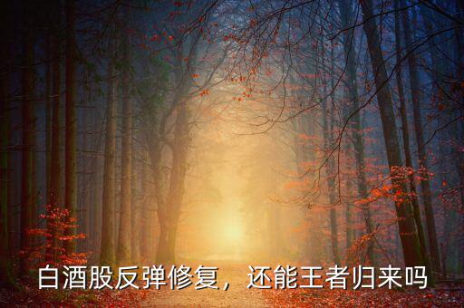 白酒股反彈修復，還能王者歸來嗎
