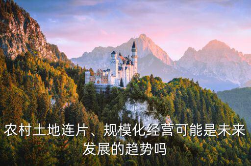 農(nóng)村土地連片、規(guī)?；?jīng)營(yíng)可能是未來發(fā)展的趨勢(shì)嗎