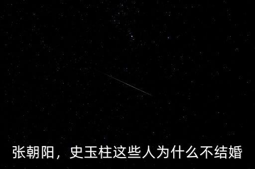 張朝陽(yáng)，史玉柱這些人為什么不結(jié)婚