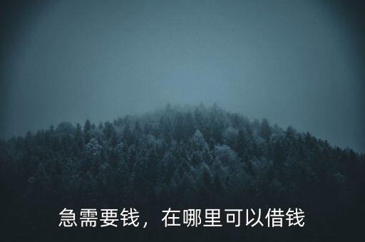 急需要錢，在哪里可以借錢