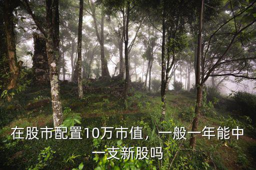 在股市配置10萬市值，一般一年能中一支新股嗎