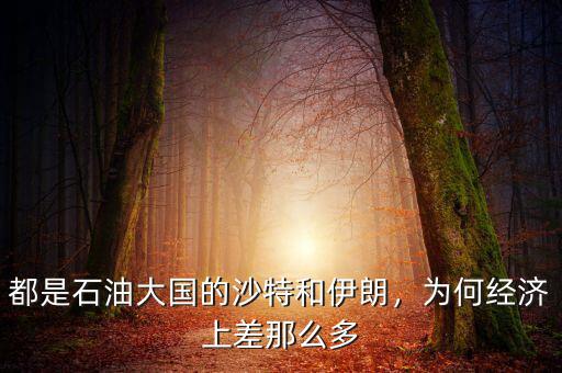 都是石油大國的沙特和伊朗，為何經(jīng)濟上差那么多