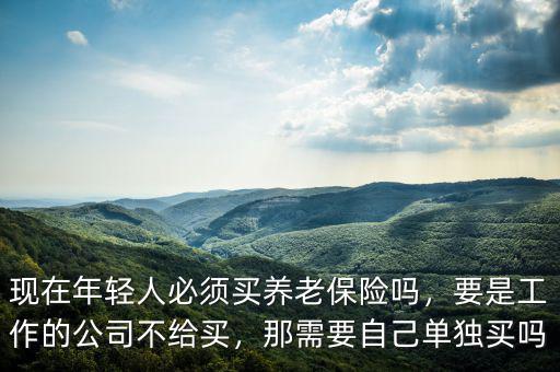 現(xiàn)在年輕人必須買養(yǎng)老保險嗎，要是工作的公司不給買，那需要自己單獨(dú)買嗎