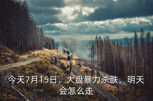 今天7月15日，大盤暴力殺跌，明天會(huì)怎么走