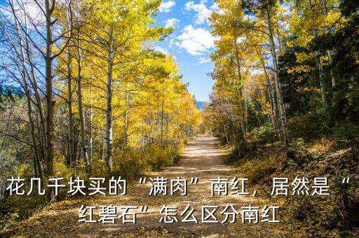 南紅是怎么炒起來(lái)的,花幾千塊買(mǎi)的滿(mǎn)肉南紅