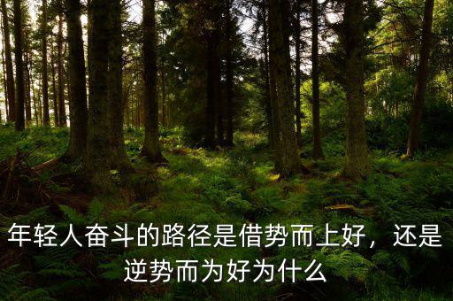 年輕人奮斗的路徑是借勢而上好，還是逆勢而為好為什么