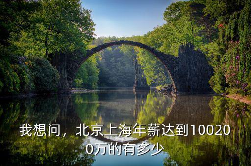 我想問，北京上海年薪達(dá)到100200萬的有多少