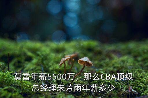 莫雷年薪5500萬，那么CBA頂級總經(jīng)理朱芳雨年薪多少
