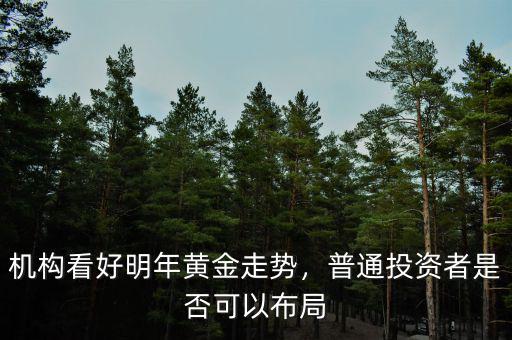 機(jī)構(gòu)看好明年黃金走勢(shì)，普通投資者是否可以布局