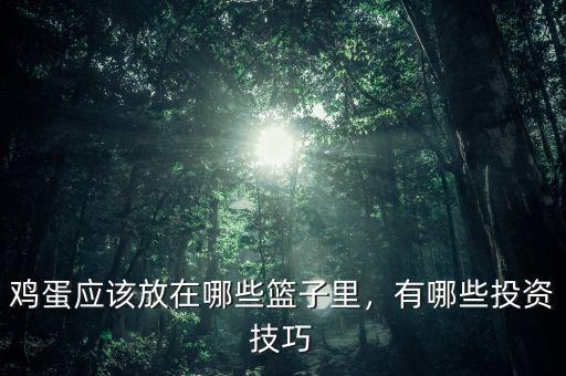 雞蛋應該放在哪些籃子里，有哪些投資技巧