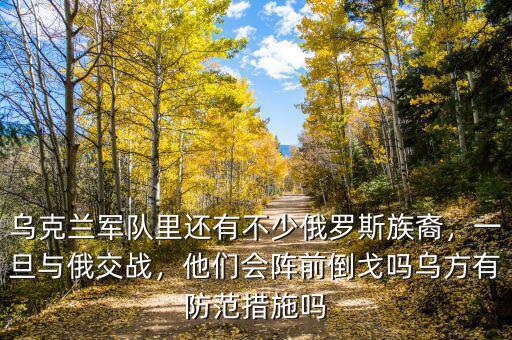 烏克蘭軍隊里還有不少俄羅斯族裔，一旦與俄交戰(zhàn)，他們會陣前倒戈嗎烏方有防范措施嗎