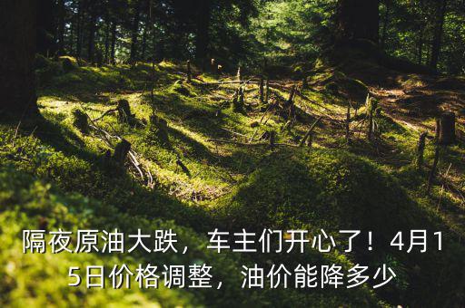 隔夜原油大跌，車主們開心了！4月15日價(jià)格調(diào)整，油價(jià)能降多少