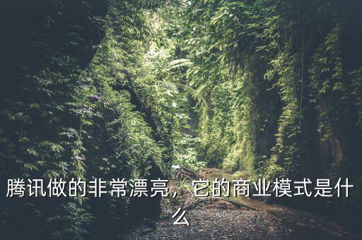 騰訊做的非常漂亮，它的商業(yè)模式是什么