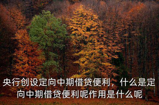 央行創(chuàng)設(shè)定向中期借貸便利，什么是定向中期借貸便利呢作用是什么呢