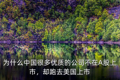 為什么中國(guó)很多優(yōu)質(zhì)的公司不在A股上市，卻跑去美國(guó)上市