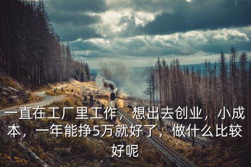 一直在工廠里工作，想出去創(chuàng)業(yè)，小成本，一年能掙5萬就好了，做什么比較好呢