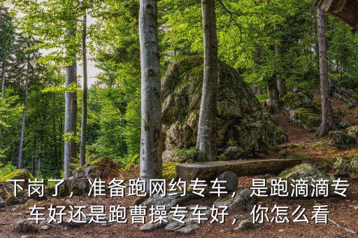 下崗了，準(zhǔn)備跑網(wǎng)約專車，是跑滴滴專車好還是跑曹操專車好，你怎么看