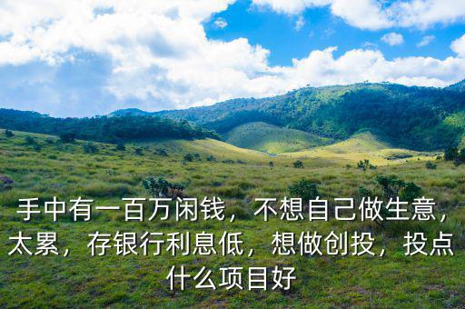 手中有一百萬(wàn)閑錢(qián)，不想自己做生意，太累，存銀行利息低，想做創(chuàng)投，投點(diǎn)什么項(xiàng)目好