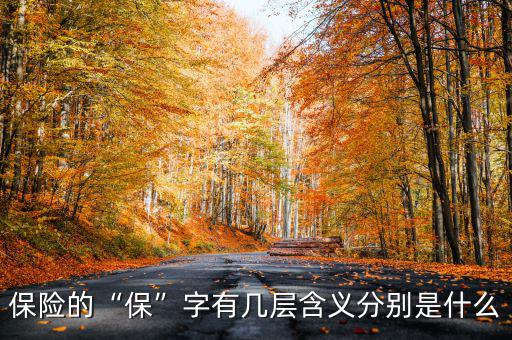 保險(xiǎn)的“?！弊钟袔讓雍x分別是什么