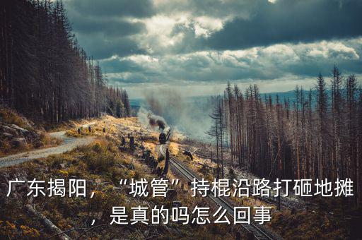 廣東揭陽(yáng)，“城管”持棍沿路打砸地?cái)?，是真的嗎怎么回? class=