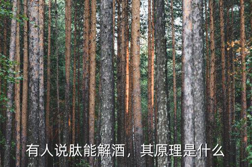 有人說肽能解酒，其原理是什么