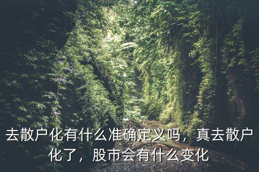 去散戶化有什么準(zhǔn)確定義嗎，真去散戶化了，股市會有什么變化