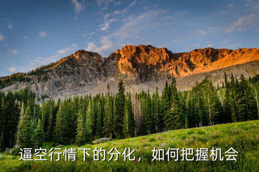 逼空行情下的分化，如何把握機(jī)會