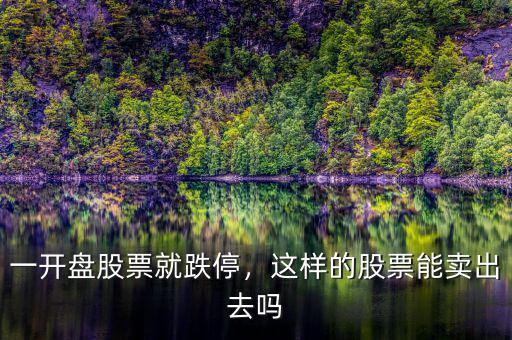 一開盤股票就跌停，這樣的股票能賣出去嗎