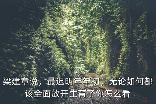 梁建章說，最遲明年年初，無論如何都該全面放開生育了你怎么看