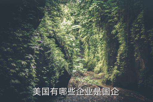 美國(guó)有多少?lài)?guó)企,美國(guó)有哪些企業(yè)是國(guó)企