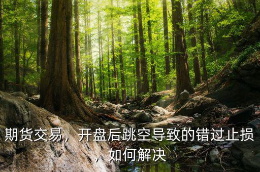 期貨交易，開盤后跳空導(dǎo)致的錯過止損，如何解決