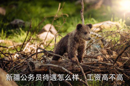 新疆公務(wù)員待遇怎么樣，工資高不高
