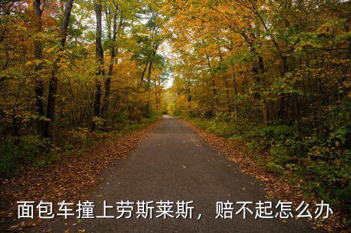 面包車撞上勞斯萊斯，賠不起怎么辦