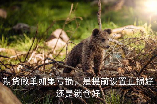 期貨做單如果虧損，是提前設(shè)置止損好還是鎖倉好