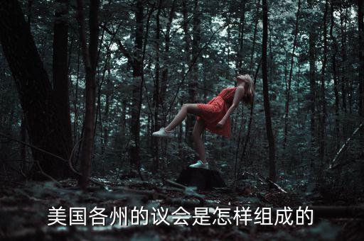 美國(guó)眾議院是怎么開會(huì)的,職能怎么劃分