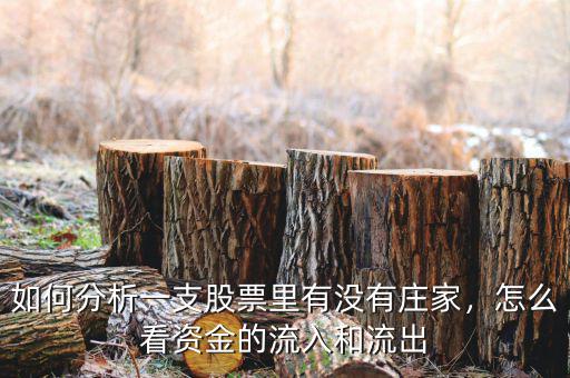 如何分析一支股票里有沒有莊家，怎么看資金的流入和流出