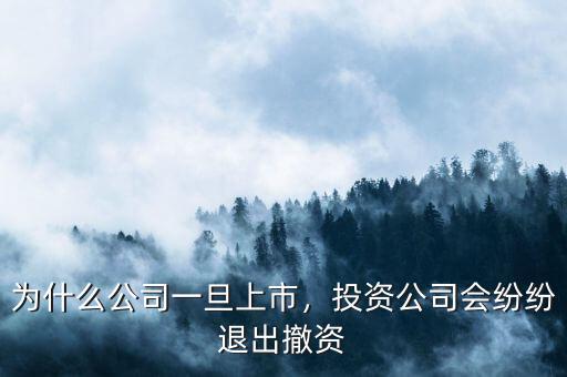 為什么公司一旦上市，投資公司會紛紛退出撤資