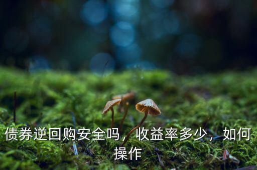 債券逆回購(gòu)安全嗎，收益率多少，如何操作