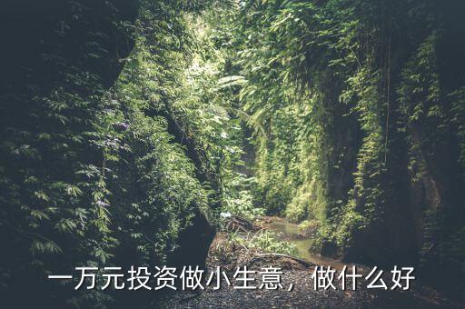一萬元投資做小生意，做什么好