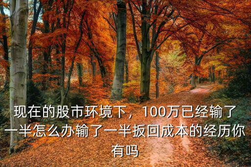 現(xiàn)在的股市環(huán)境下，100萬(wàn)已經(jīng)輸了一半怎么辦輸了一半扳回成本的經(jīng)歷你有嗎
