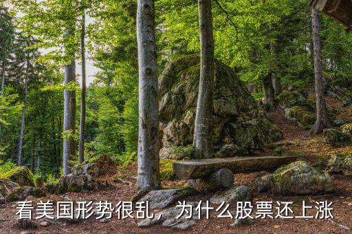 看美國(guó)形勢(shì)很亂，為什么股票還上漲