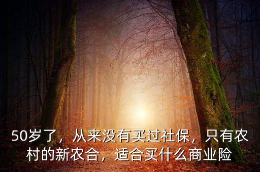 50歲了，從來沒有買過社保，只有農(nóng)村的新農(nóng)合，適合買什么商業(yè)險