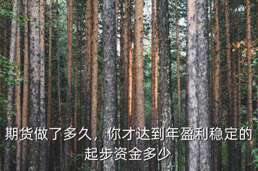 期貨做了多久，你才達到年盈利穩(wěn)定的起步資金多少