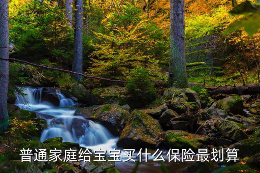 給孩子買(mǎi)什么保險(xiǎn)最劃算,小孩的保險(xiǎn)怎么買(mǎi)比較劃算