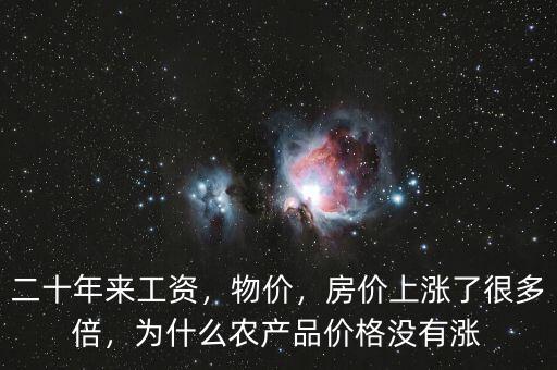 二十年來工資，物價(jià)，房?jī)r(jià)上漲了很多倍，為什么農(nóng)產(chǎn)品價(jià)格沒有漲