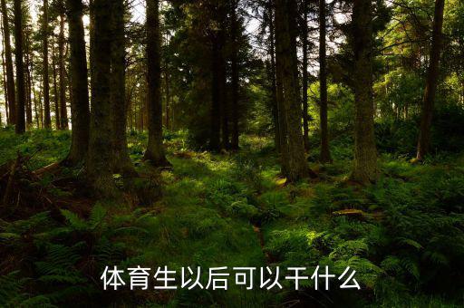 體育產業(yè)干什么好,體育生以后可以干什么