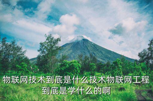 物聯(lián)網(wǎng)技術到底是什么技術物聯(lián)網(wǎng)工程到底是學什么的啊